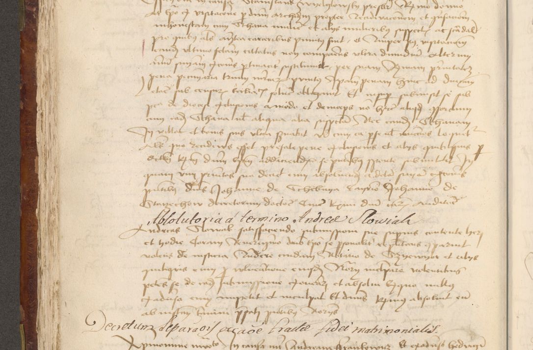 Zdjęcie nr 313 dla obiektu archiwalnego: Acta administratorialia per annum 1471 et episcopalia R. D. Joannis Rzeschow, primo administratoris et post vero episcopi Cracoviensis ab anno 1472 ad annum 1488 succesive acticara et registrara, prout videre est in fine huius voluminis