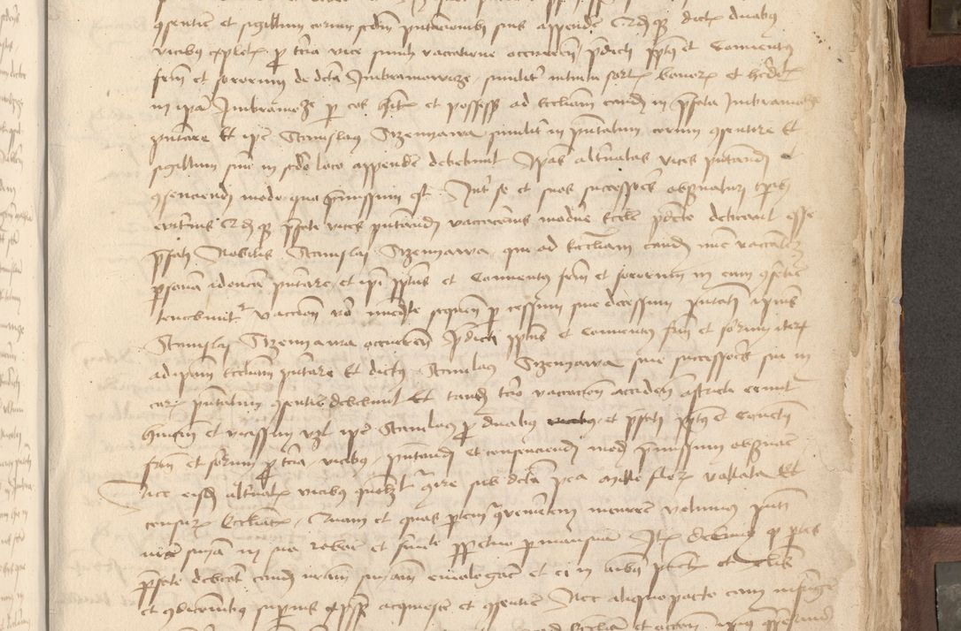 Zdjęcie nr 282 dla obiektu archiwalnego: Acta administratorialia per annum 1471 et episcopalia R. D. Joannis Rzeschow, primo administratoris et post vero episcopi Cracoviensis ab anno 1472 ad annum 1488 succesive acticara et registrara, prout videre est in fine huius voluminis