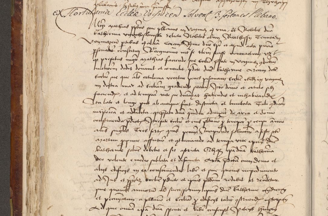 Zdjęcie nr 245 dla obiektu archiwalnego: Acta administratorialia per annum 1471 et episcopalia R. D. Joannis Rzeschow, primo administratoris et post vero episcopi Cracoviensis ab anno 1472 ad annum 1488 succesive acticara et registrara, prout videre est in fine huius voluminis
