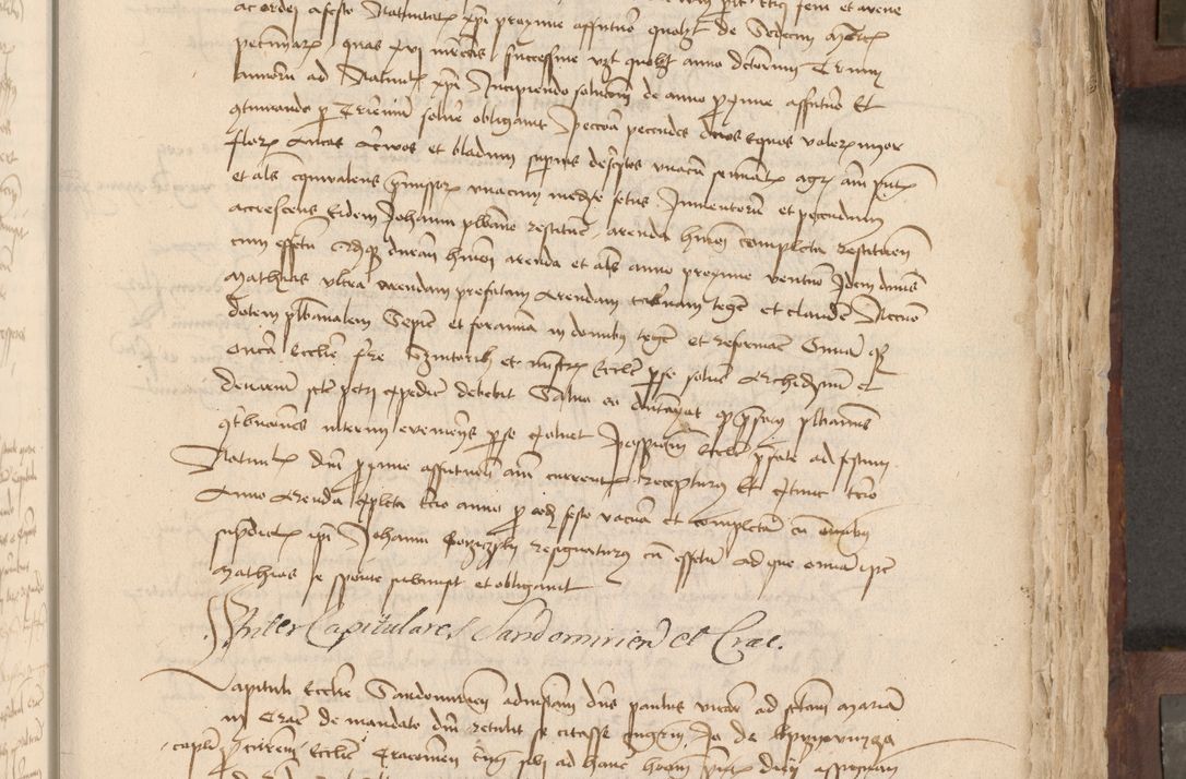 Zdjęcie nr 234 dla obiektu archiwalnego: Acta administratorialia per annum 1471 et episcopalia R. D. Joannis Rzeschow, primo administratoris et post vero episcopi Cracoviensis ab anno 1472 ad annum 1488 succesive acticara et registrara, prout videre est in fine huius voluminis