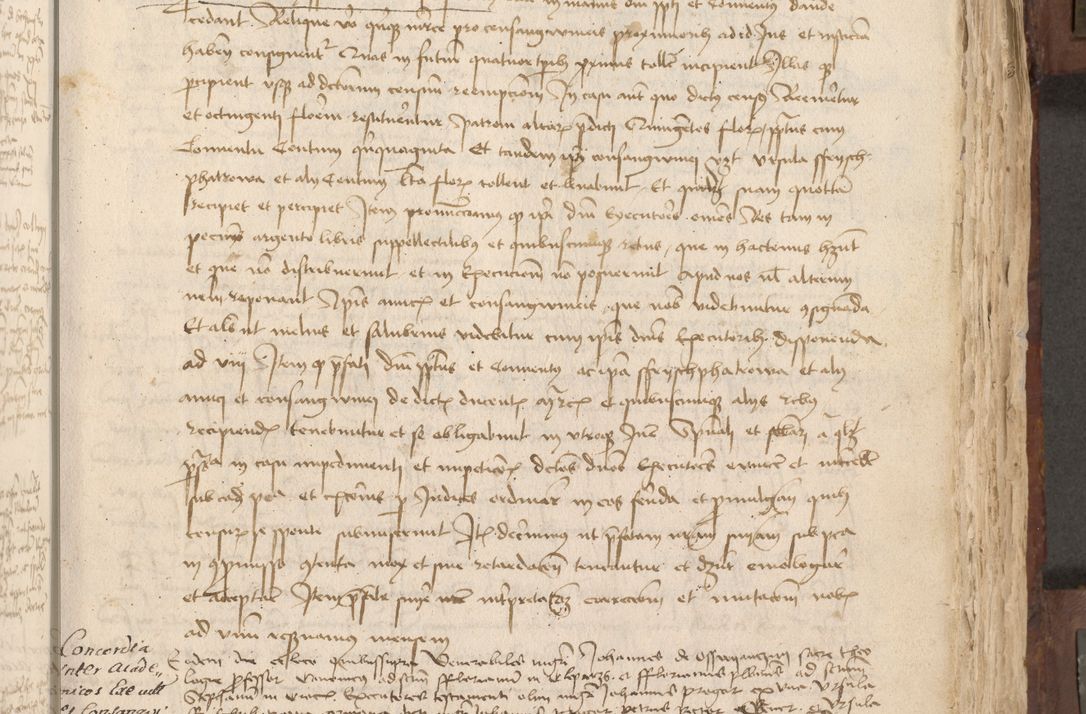 Zdjęcie nr 206 dla obiektu archiwalnego: Acta administratorialia per annum 1471 et episcopalia R. D. Joannis Rzeschow, primo administratoris et post vero episcopi Cracoviensis ab anno 1472 ad annum 1488 succesive acticara et registrara, prout videre est in fine huius voluminis