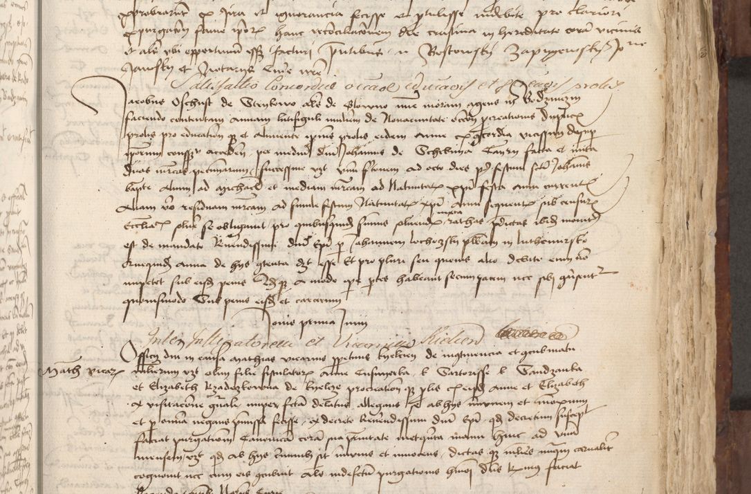 Zdjęcie nr 126 dla obiektu archiwalnego: Acta administratorialia per annum 1471 et episcopalia R. D. Joannis Rzeschow, primo administratoris et post vero episcopi Cracoviensis ab anno 1472 ad annum 1488 succesive acticara et registrara, prout videre est in fine huius voluminis