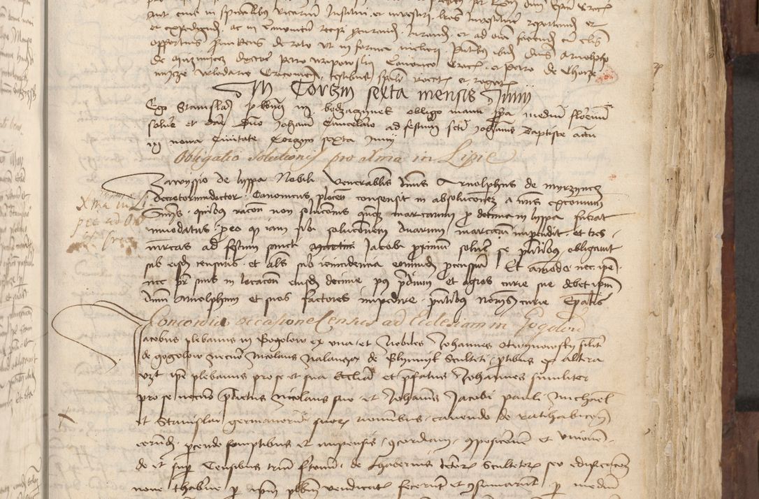 Zdjęcie nr 96 dla obiektu archiwalnego: Acta administratorialia per annum 1471 et episcopalia R. D. Joannis Rzeschow, primo administratoris et post vero episcopi Cracoviensis ab anno 1472 ad annum 1488 succesive acticara et registrara, prout videre est in fine huius voluminis