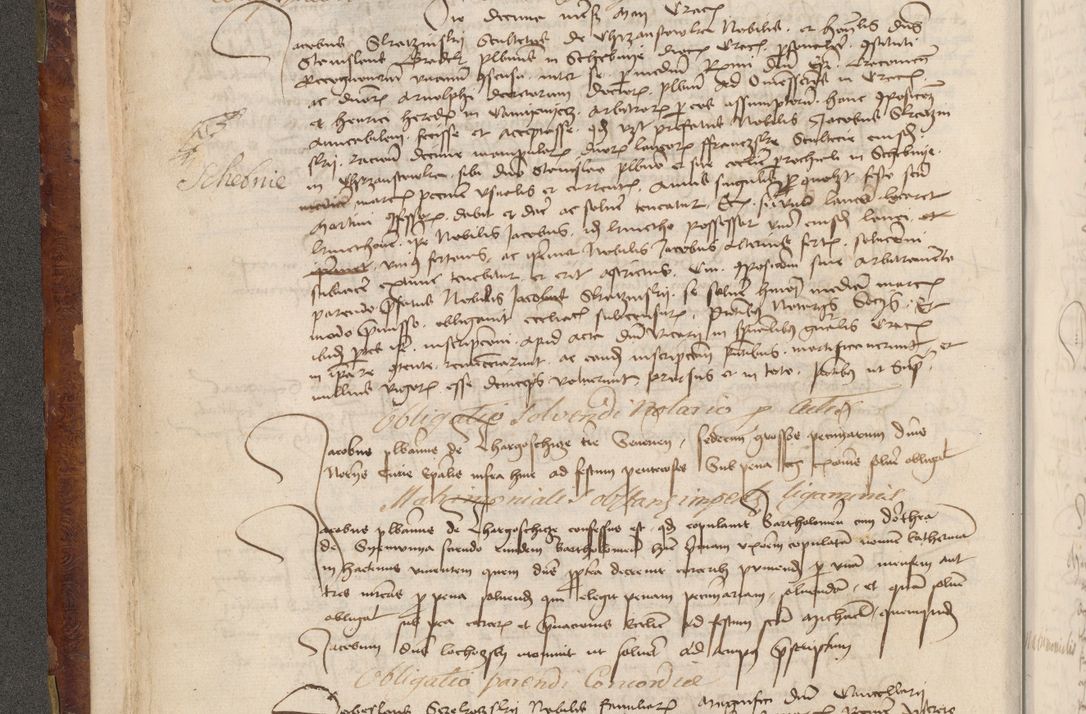 Zdjęcie nr 81 dla obiektu archiwalnego: Acta administratorialia per annum 1471 et episcopalia R. D. Joannis Rzeschow, primo administratoris et post vero episcopi Cracoviensis ab anno 1472 ad annum 1488 succesive acticara et registrara, prout videre est in fine huius voluminis