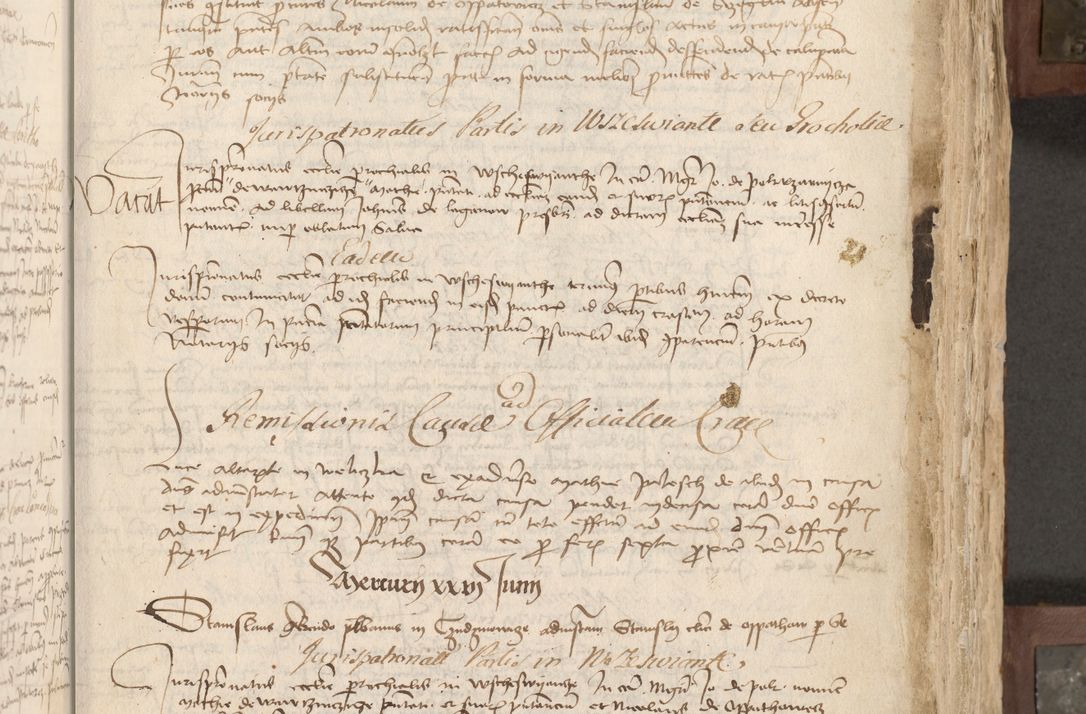 Zdjęcie nr 24 dla obiektu archiwalnego: Acta administratorialia per annum 1471 et episcopalia R. D. Joannis Rzeschow, primo administratoris et post vero episcopi Cracoviensis ab anno 1472 ad annum 1488 succesive acticara et registrara, prout videre est in fine huius voluminis