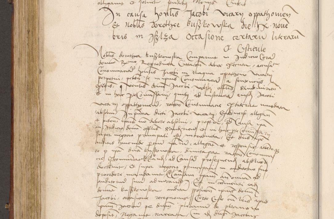 Zdjęcie nr 619 dla obiektu archiwalnego: Volumen I-mum actorum R. D. Joannis Konarski, episcopi Cracoviensis ab an D. 1503 ad annum 1514 inclusive acticata et registata, quorum indicem in dine voluminis videre est.