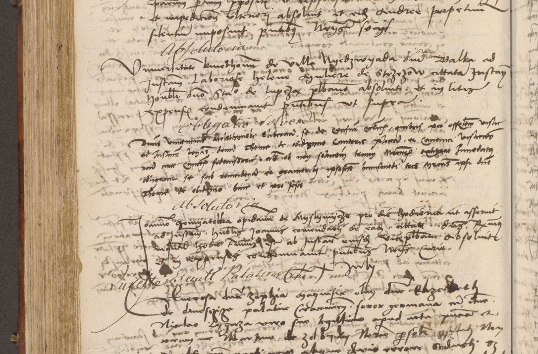 Zdjęcie nr 463 dla obiektu archiwalnego: Volumen I-mum actorum R. D. Joannis Konarski, episcopi Cracoviensis ab an D. 1503 ad annum 1514 inclusive acticata et registata, quorum indicem in dine voluminis videre est.