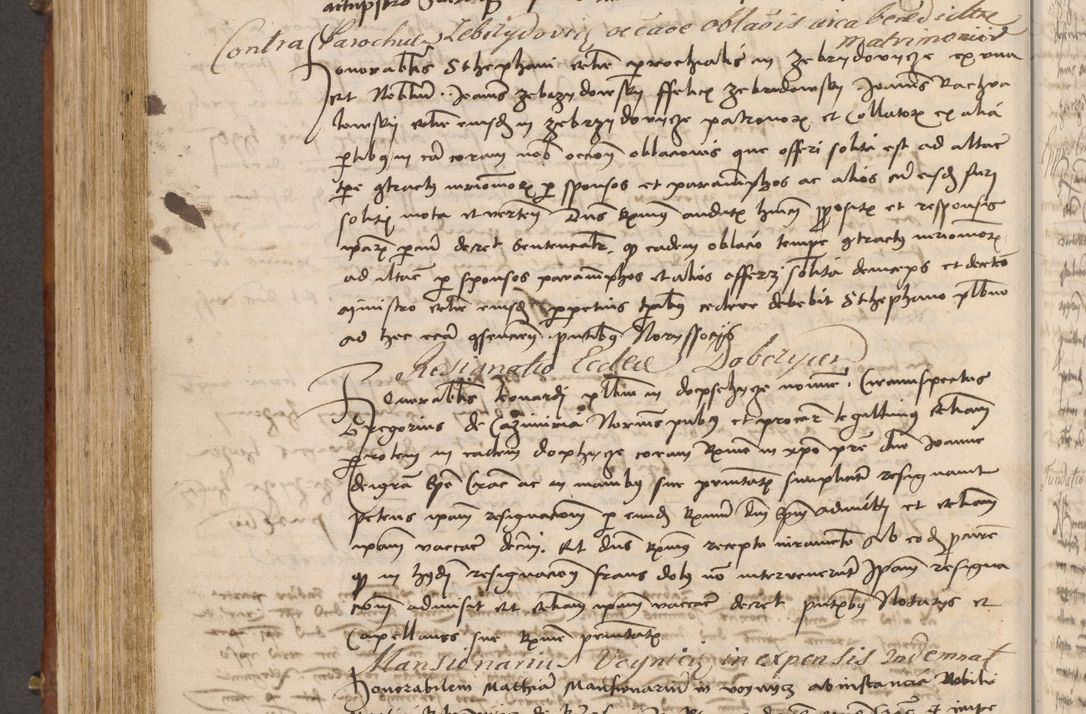 Zdjęcie nr 449 dla obiektu archiwalnego: Volumen I-mum actorum R. D. Joannis Konarski, episcopi Cracoviensis ab an D. 1503 ad annum 1514 inclusive acticata et registata, quorum indicem in dine voluminis videre est.