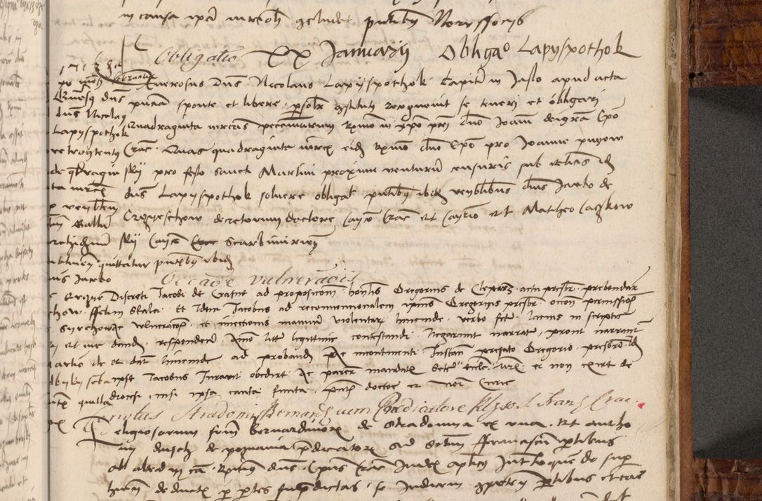 Zdjęcie nr 398 dla obiektu archiwalnego: Volumen I-mum actorum R. D. Joannis Konarski, episcopi Cracoviensis ab an D. 1503 ad annum 1514 inclusive acticata et registata, quorum indicem in dine voluminis videre est.
