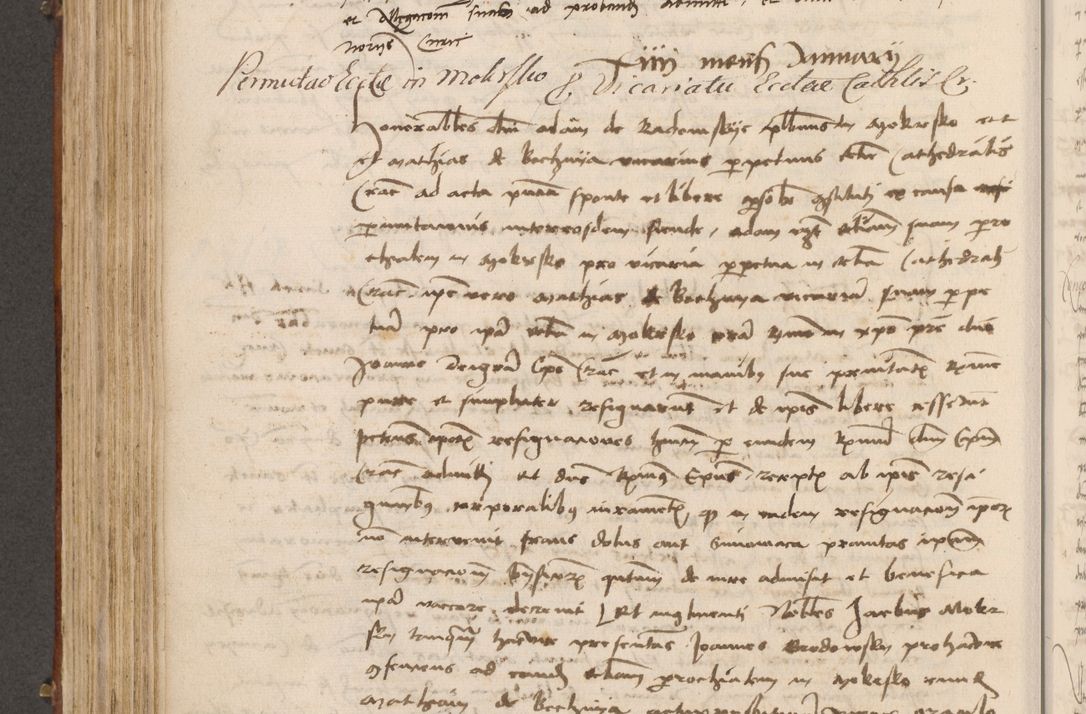 Zdjęcie nr 393 dla obiektu archiwalnego: Volumen I-mum actorum R. D. Joannis Konarski, episcopi Cracoviensis ab an D. 1503 ad annum 1514 inclusive acticata et registata, quorum indicem in dine voluminis videre est.