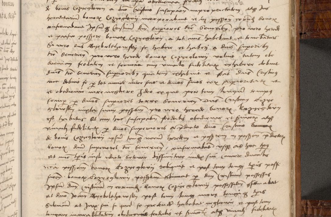 Zdjęcie nr 396 dla obiektu archiwalnego: Volumen I-mum actorum R. D. Joannis Konarski, episcopi Cracoviensis ab an D. 1503 ad annum 1514 inclusive acticata et registata, quorum indicem in dine voluminis videre est.