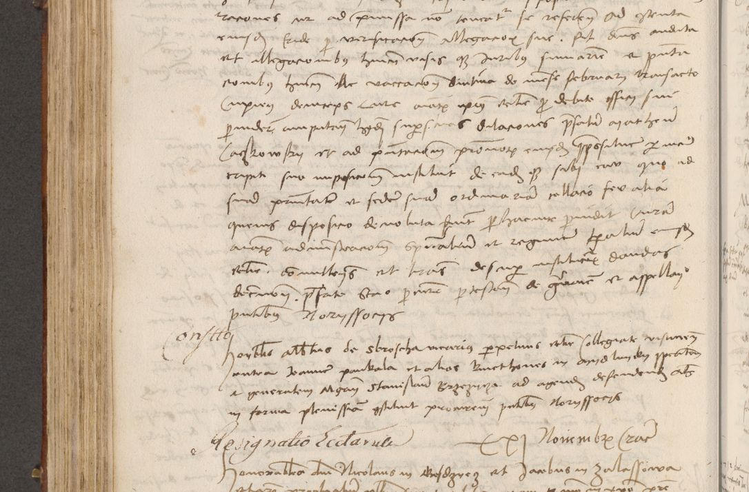 Zdjęcie nr 381 dla obiektu archiwalnego: Volumen I-mum actorum R. D. Joannis Konarski, episcopi Cracoviensis ab an D. 1503 ad annum 1514 inclusive acticata et registata, quorum indicem in dine voluminis videre est.