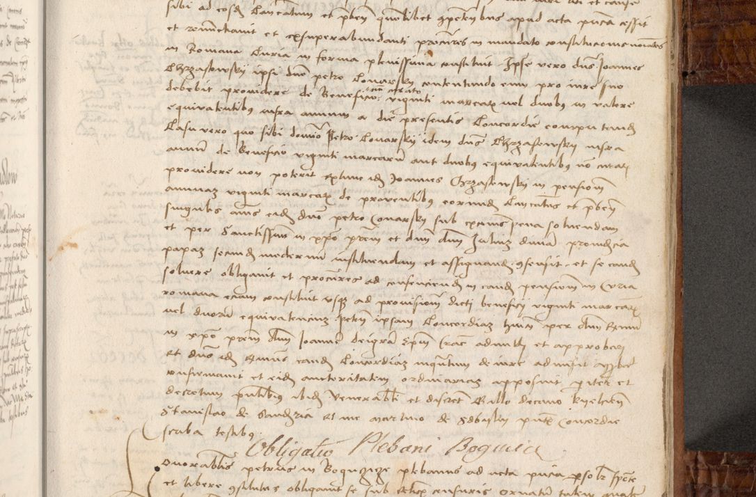 Zdjęcie nr 296 dla obiektu archiwalnego: Volumen I-mum actorum R. D. Joannis Konarski, episcopi Cracoviensis ab an D. 1503 ad annum 1514 inclusive acticata et registata, quorum indicem in dine voluminis videre est.