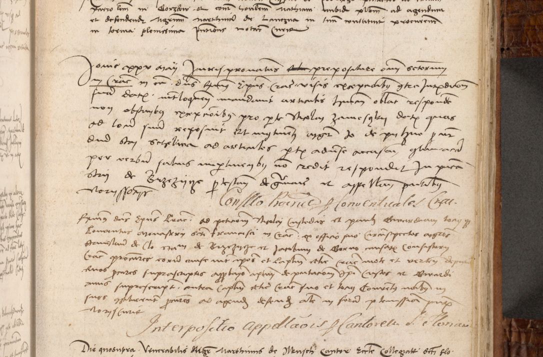 Zdjęcie nr 222 dla obiektu archiwalnego: Volumen I-mum actorum R. D. Joannis Konarski, episcopi Cracoviensis ab an D. 1503 ad annum 1514 inclusive acticata et registata, quorum indicem in dine voluminis videre est.