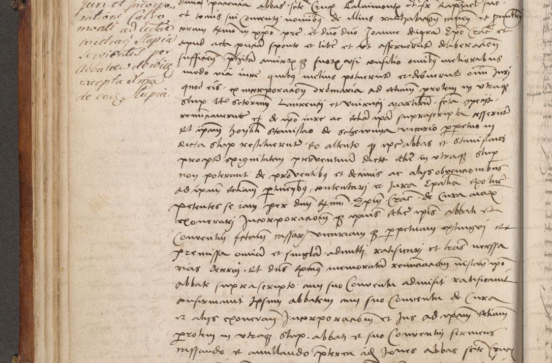 Zdjęcie nr 199 dla obiektu archiwalnego: Volumen I-mum actorum R. D. Joannis Konarski, episcopi Cracoviensis ab an D. 1503 ad annum 1514 inclusive acticata et registata, quorum indicem in dine voluminis videre est.