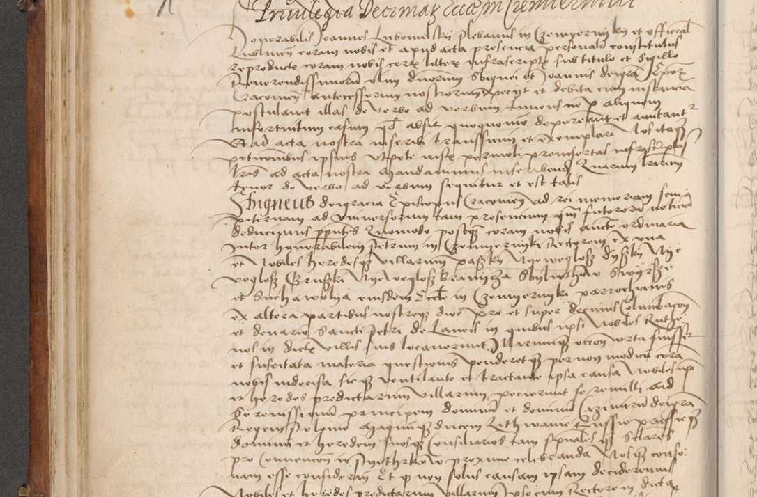 Zdjęcie nr 191 dla obiektu archiwalnego: Volumen I-mum actorum R. D. Joannis Konarski, episcopi Cracoviensis ab an D. 1503 ad annum 1514 inclusive acticata et registata, quorum indicem in dine voluminis videre est.