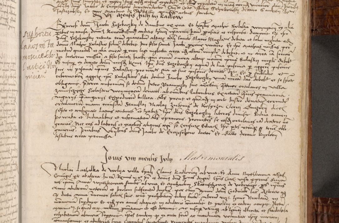 Zdjęcie nr 170 dla obiektu archiwalnego: Volumen I-mum actorum R. D. Joannis Konarski, episcopi Cracoviensis ab an D. 1503 ad annum 1514 inclusive acticata et registata, quorum indicem in dine voluminis videre est.