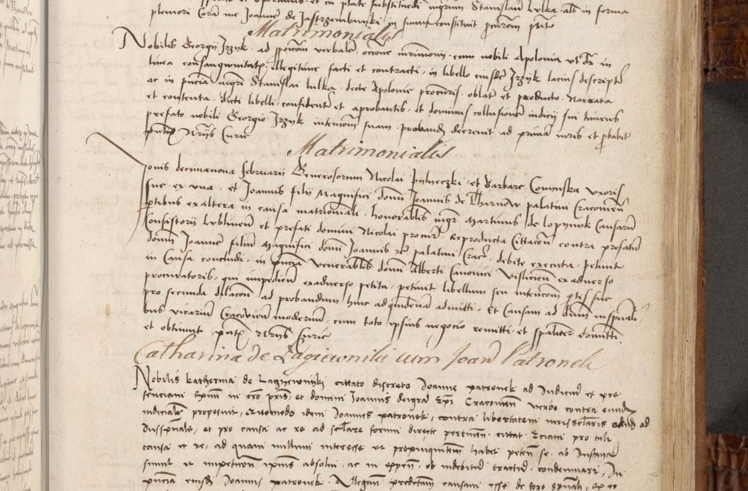 Zdjęcie nr 106 dla obiektu archiwalnego: Volumen I-mum actorum R. D. Joannis Konarski, episcopi Cracoviensis ab an D. 1503 ad annum 1514 inclusive acticata et registata, quorum indicem in dine voluminis videre est.