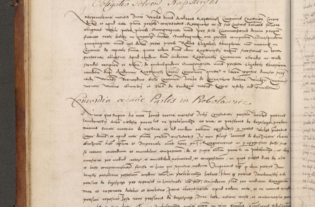 Zdjęcie nr 87 dla obiektu archiwalnego: Volumen I-mum actorum R. D. Joannis Konarski, episcopi Cracoviensis ab an D. 1503 ad annum 1514 inclusive acticata et registata, quorum indicem in dine voluminis videre est.