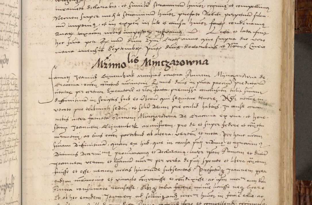 Zdjęcie nr 48 dla obiektu archiwalnego: Volumen I-mum actorum R. D. Joannis Konarski, episcopi Cracoviensis ab an D. 1503 ad annum 1514 inclusive acticata et registata, quorum indicem in dine voluminis videre est.