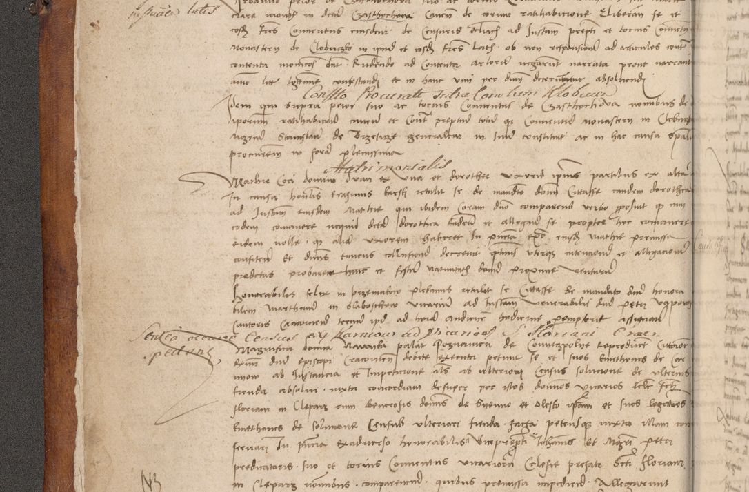 Zdjęcie nr 13 dla obiektu archiwalnego: Volumen I-mum actorum R. D. Joannis Konarski, episcopi Cracoviensis ab an D. 1503 ad annum 1514 inclusive acticata et registata, quorum indicem in dine voluminis videre est.
