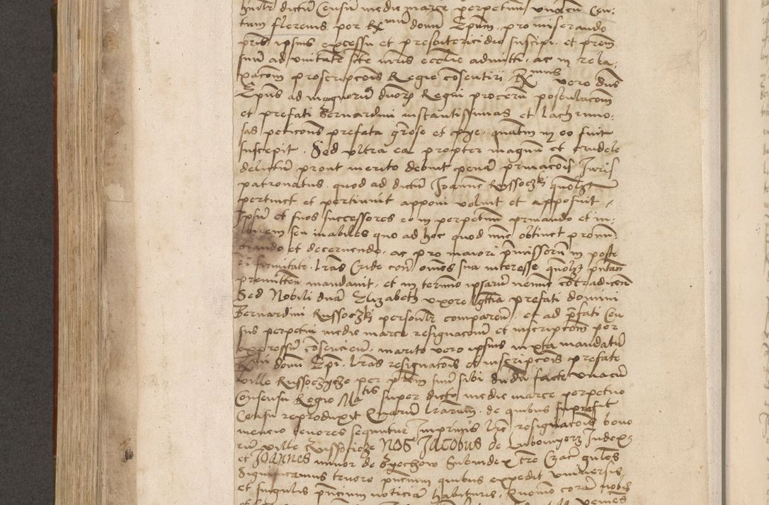Zdjęcie nr 517 dla obiektu archiwalnego: Volumen II - um actorum episcopalium Joannis Konarski, episcopi Cracoviensis annorum sequentium: 1515, 1516, 1517, 1518, 1519, quorum indicem in dine huius voluminis videre est.