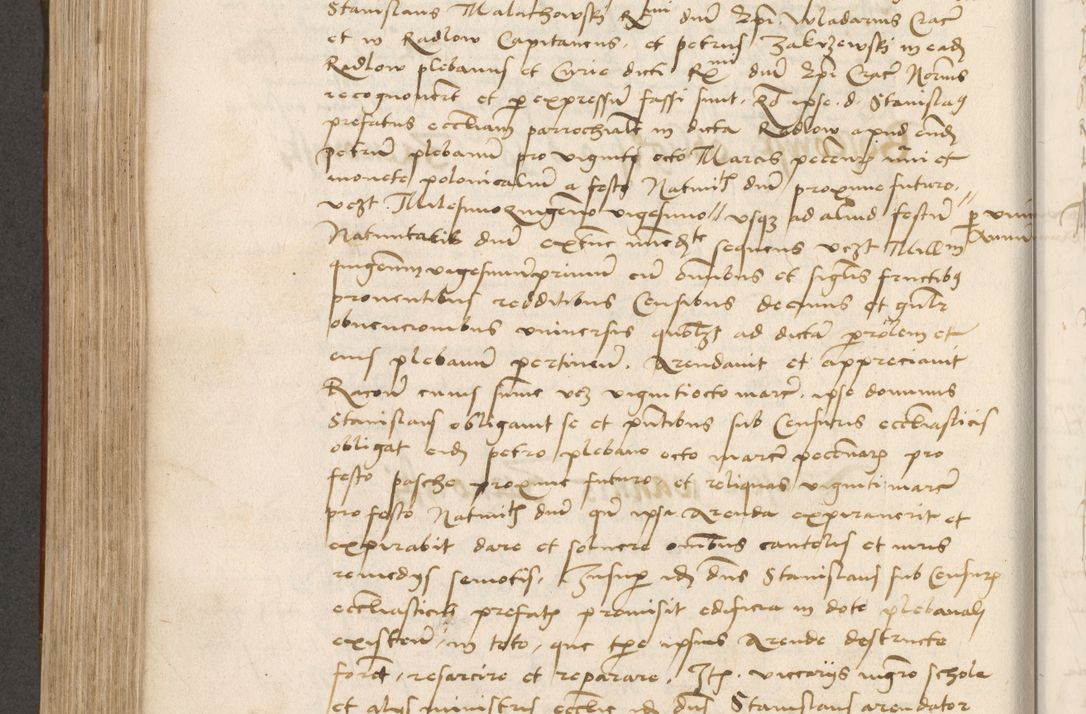 Zdjęcie nr 493 dla obiektu archiwalnego: Volumen II - um actorum episcopalium Joannis Konarski, episcopi Cracoviensis annorum sequentium: 1515, 1516, 1517, 1518, 1519, quorum indicem in dine huius voluminis videre est.