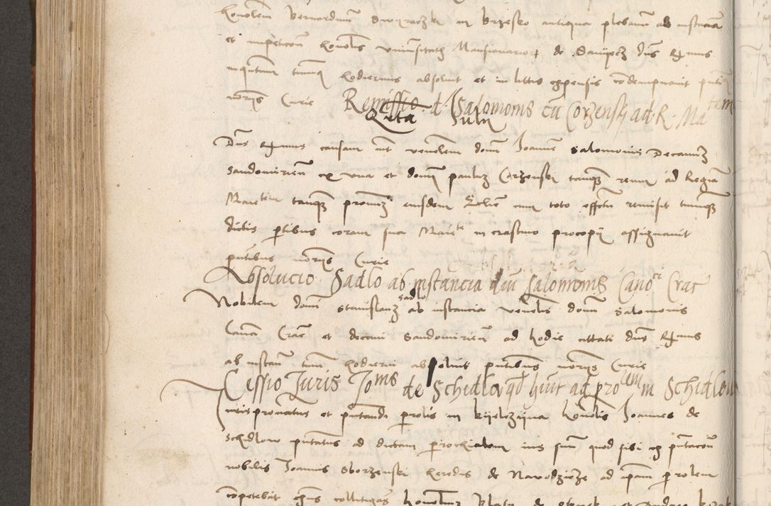 Zdjęcie nr 487 dla obiektu archiwalnego: Volumen II - um actorum episcopalium Joannis Konarski, episcopi Cracoviensis annorum sequentium: 1515, 1516, 1517, 1518, 1519, quorum indicem in dine huius voluminis videre est.