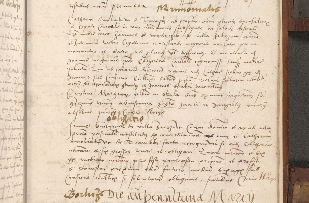 Zdjęcie nr 452 dla obiektu archiwalnego: Volumen II - um actorum episcopalium Joannis Konarski, episcopi Cracoviensis annorum sequentium: 1515, 1516, 1517, 1518, 1519, quorum indicem in dine huius voluminis videre est.