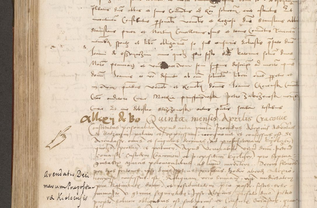 Zdjęcie nr 455 dla obiektu archiwalnego: Volumen II - um actorum episcopalium Joannis Konarski, episcopi Cracoviensis annorum sequentium: 1515, 1516, 1517, 1518, 1519, quorum indicem in dine huius voluminis videre est.