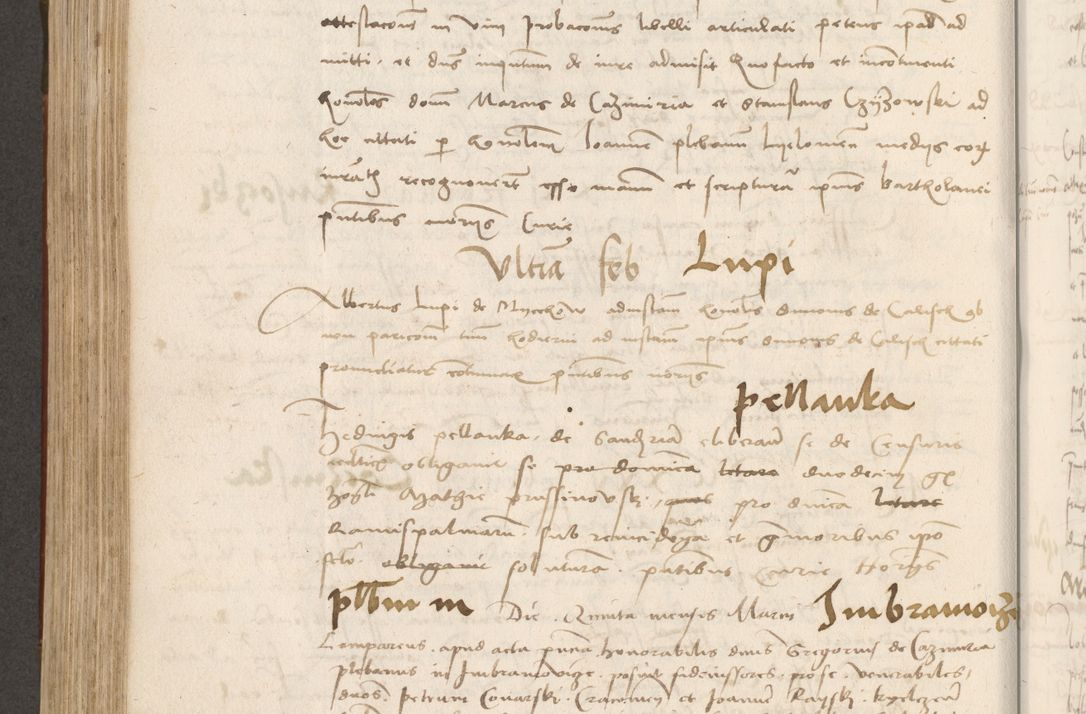 Zdjęcie nr 441 dla obiektu archiwalnego: Volumen II - um actorum episcopalium Joannis Konarski, episcopi Cracoviensis annorum sequentium: 1515, 1516, 1517, 1518, 1519, quorum indicem in dine huius voluminis videre est.