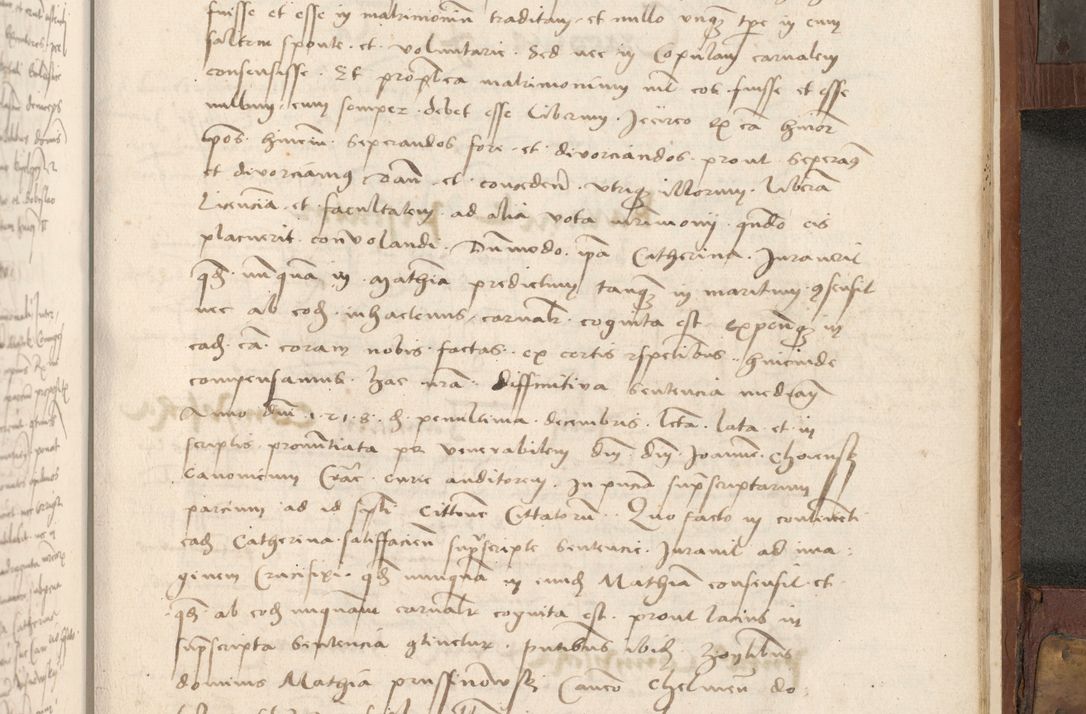 Zdjęcie nr 426 dla obiektu archiwalnego: Volumen II - um actorum episcopalium Joannis Konarski, episcopi Cracoviensis annorum sequentium: 1515, 1516, 1517, 1518, 1519, quorum indicem in dine huius voluminis videre est.