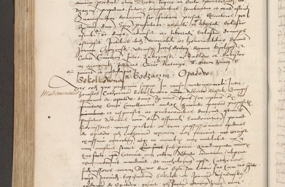 Zdjęcie nr 425 dla obiektu archiwalnego: Volumen II - um actorum episcopalium Joannis Konarski, episcopi Cracoviensis annorum sequentium: 1515, 1516, 1517, 1518, 1519, quorum indicem in dine huius voluminis videre est.