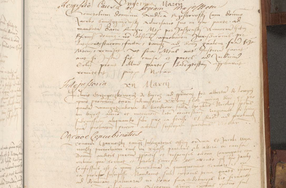 Zdjęcie nr 354 dla obiektu archiwalnego: Volumen II - um actorum episcopalium Joannis Konarski, episcopi Cracoviensis annorum sequentium: 1515, 1516, 1517, 1518, 1519, quorum indicem in dine huius voluminis videre est.