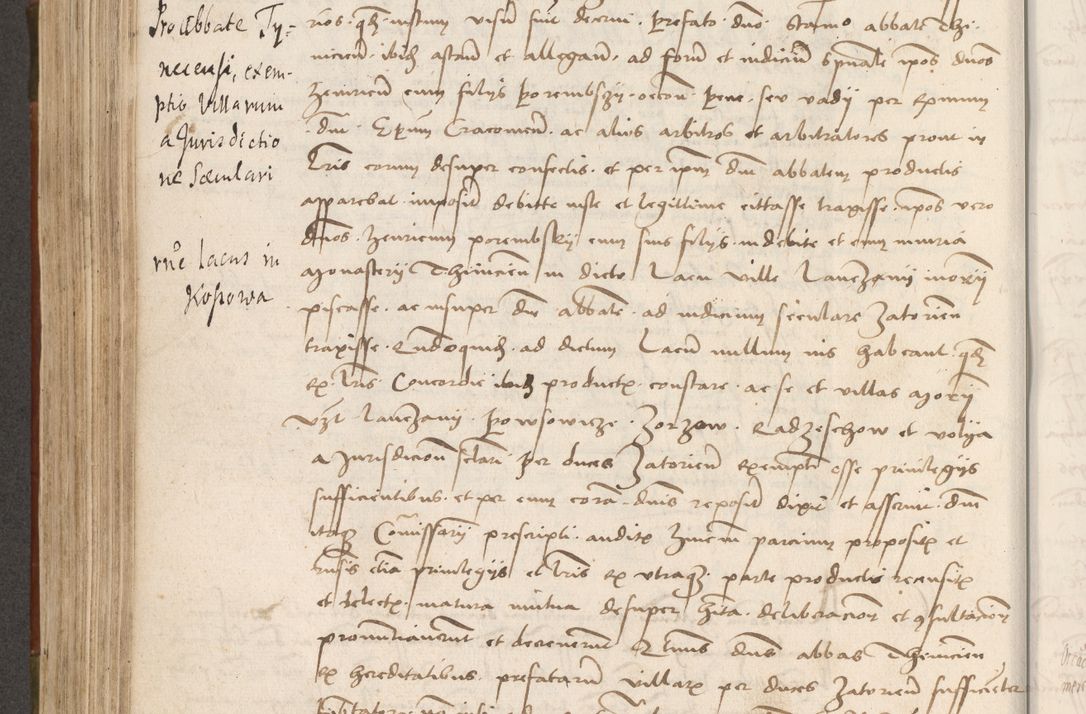Zdjęcie nr 351 dla obiektu archiwalnego: Volumen II - um actorum episcopalium Joannis Konarski, episcopi Cracoviensis annorum sequentium: 1515, 1516, 1517, 1518, 1519, quorum indicem in dine huius voluminis videre est.