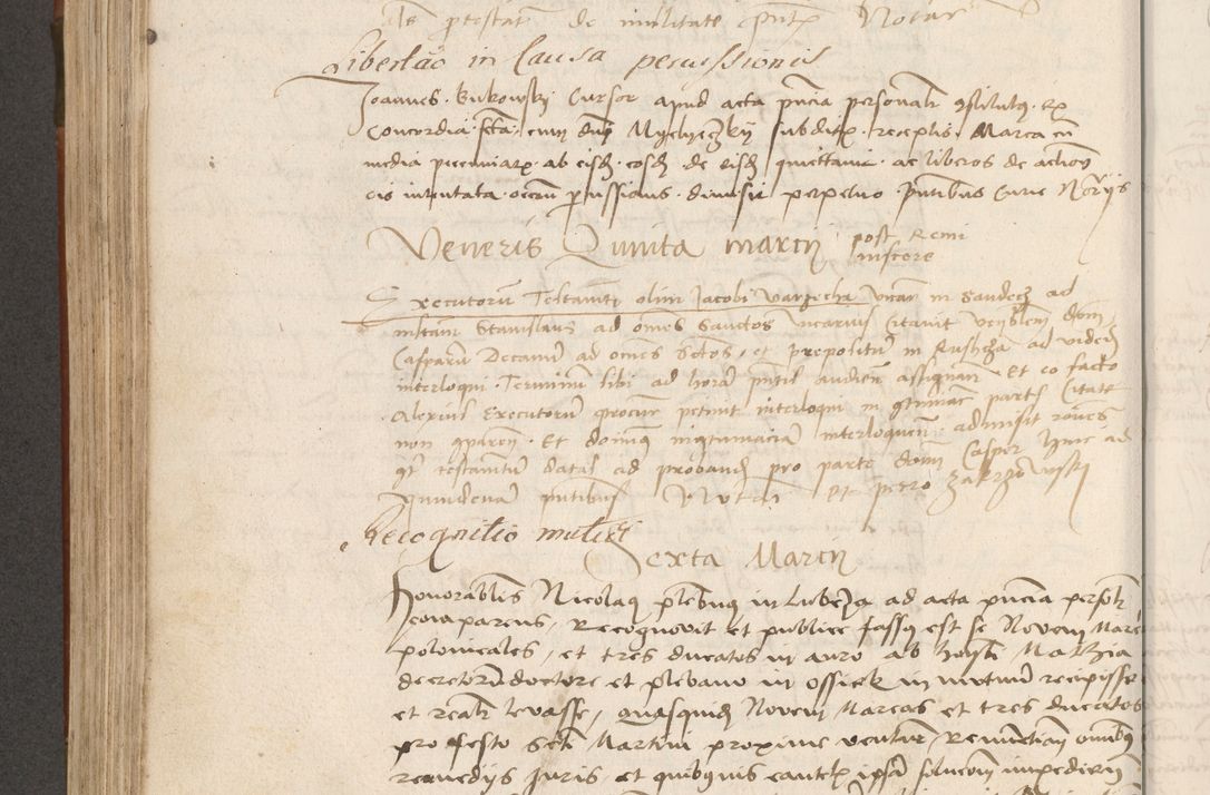 Zdjęcie nr 353 dla obiektu archiwalnego: Volumen II - um actorum episcopalium Joannis Konarski, episcopi Cracoviensis annorum sequentium: 1515, 1516, 1517, 1518, 1519, quorum indicem in dine huius voluminis videre est.