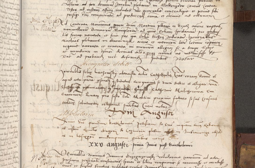 Zdjęcie nr 308 dla obiektu archiwalnego: Volumen II - um actorum episcopalium Joannis Konarski, episcopi Cracoviensis annorum sequentium: 1515, 1516, 1517, 1518, 1519, quorum indicem in dine huius voluminis videre est.