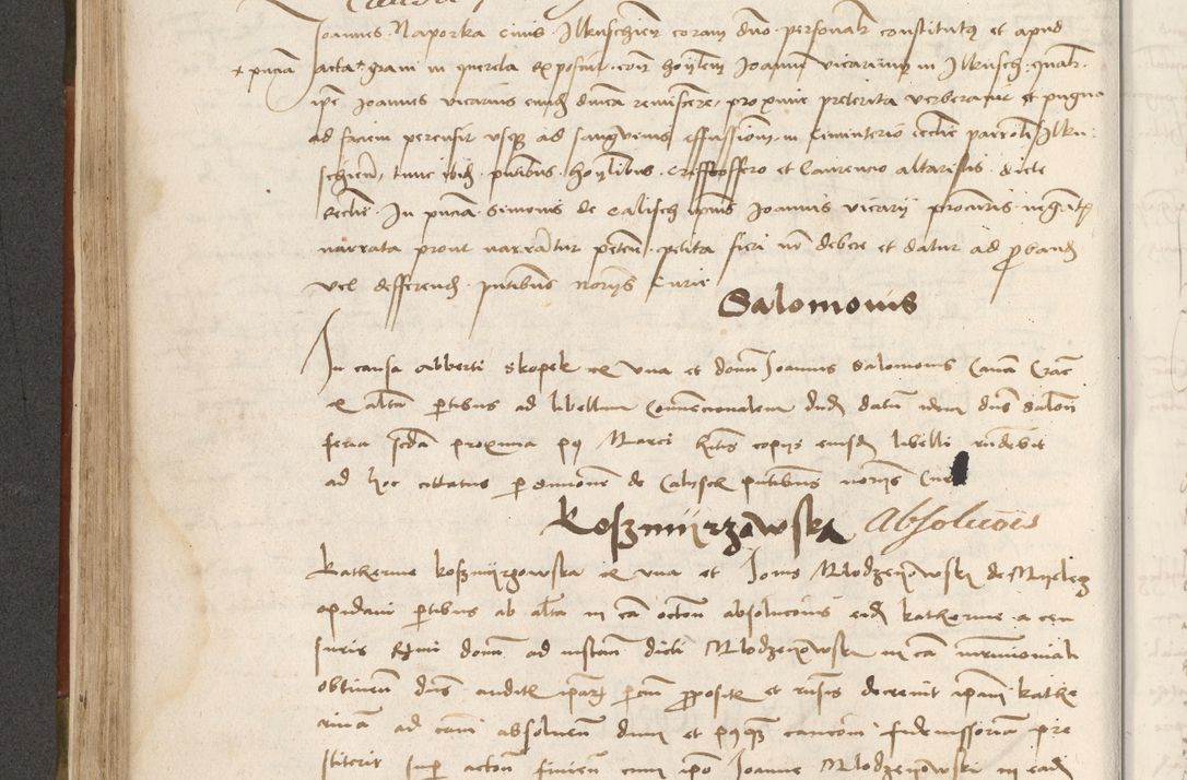 Zdjęcie nr 233 dla obiektu archiwalnego: Volumen II - um actorum episcopalium Joannis Konarski, episcopi Cracoviensis annorum sequentium: 1515, 1516, 1517, 1518, 1519, quorum indicem in dine huius voluminis videre est.