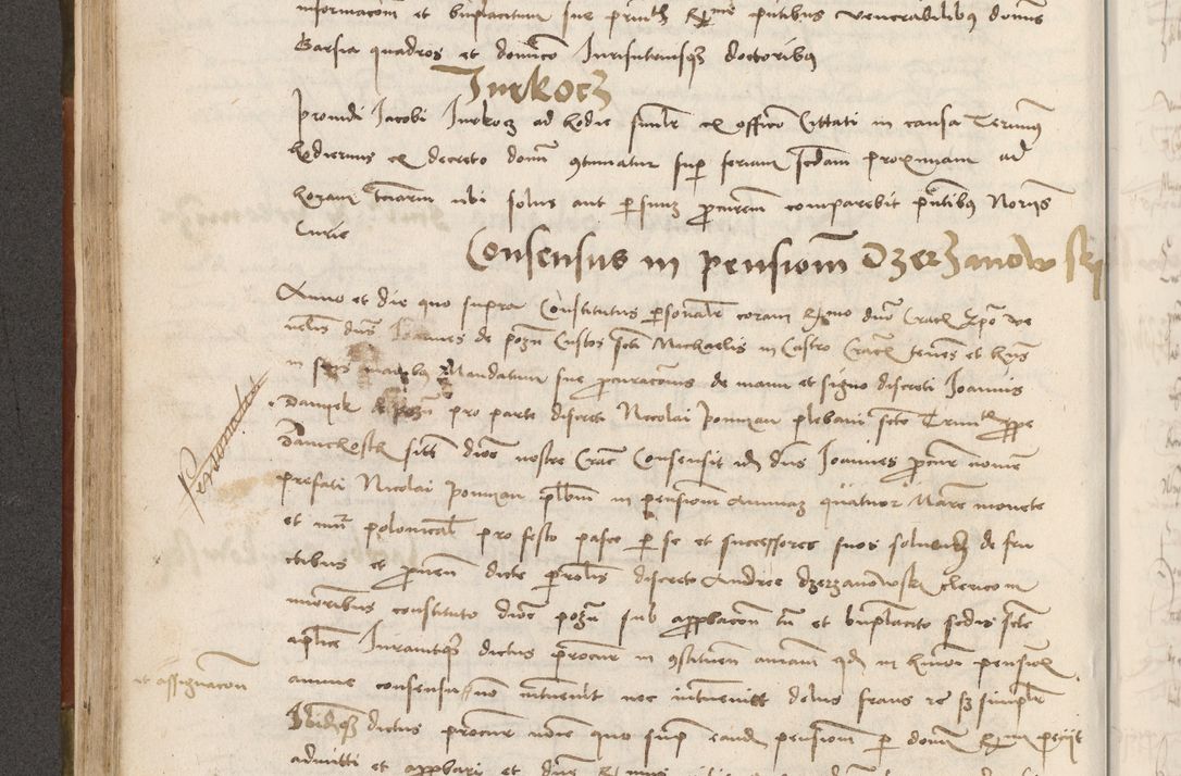 Zdjęcie nr 207 dla obiektu archiwalnego: Volumen II - um actorum episcopalium Joannis Konarski, episcopi Cracoviensis annorum sequentium: 1515, 1516, 1517, 1518, 1519, quorum indicem in dine huius voluminis videre est.