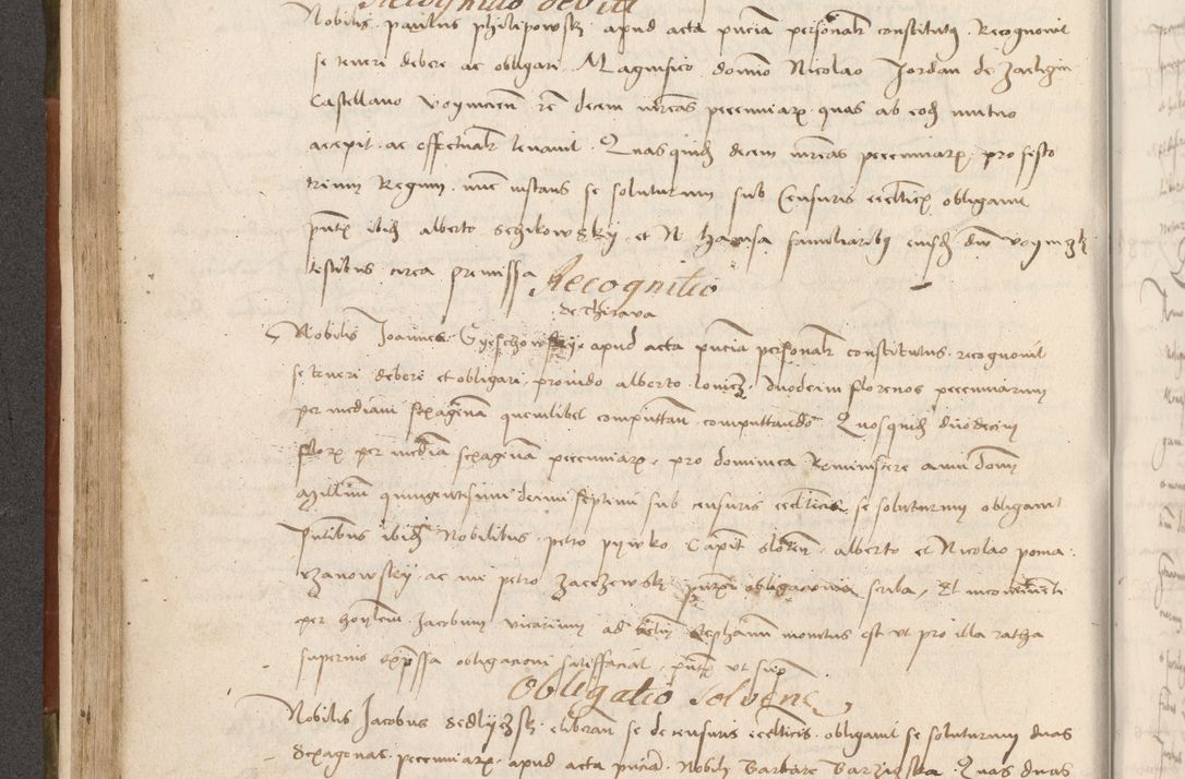 Zdjęcie nr 189 dla obiektu archiwalnego: Volumen II - um actorum episcopalium Joannis Konarski, episcopi Cracoviensis annorum sequentium: 1515, 1516, 1517, 1518, 1519, quorum indicem in dine huius voluminis videre est.