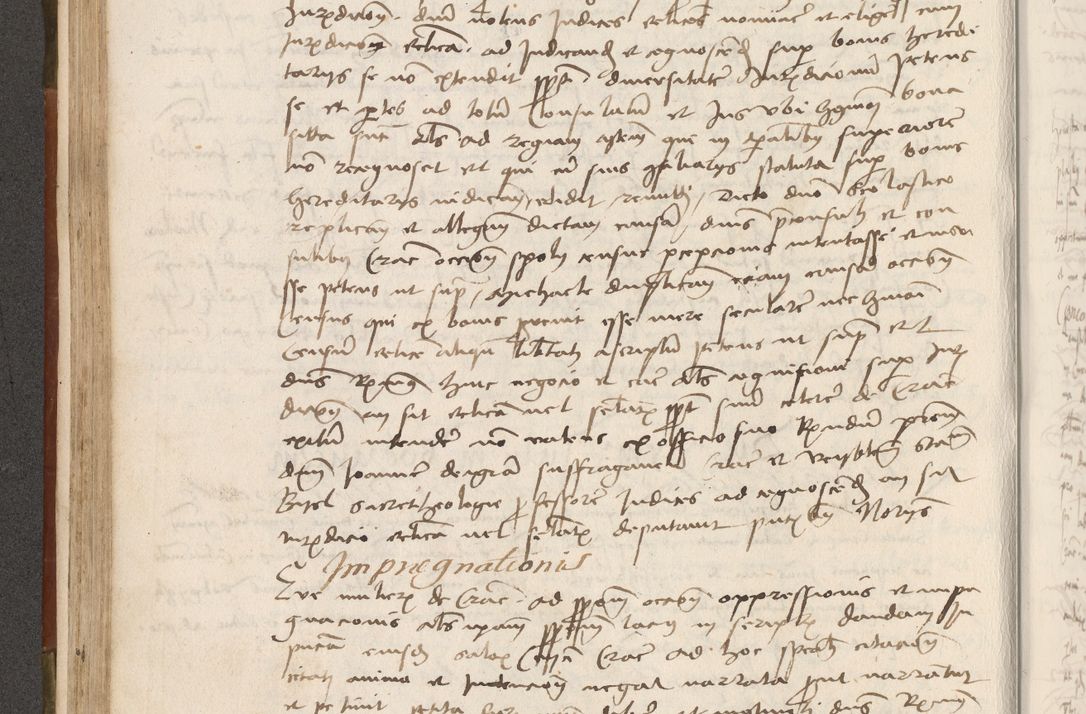 Zdjęcie nr 185 dla obiektu archiwalnego: Volumen II - um actorum episcopalium Joannis Konarski, episcopi Cracoviensis annorum sequentium: 1515, 1516, 1517, 1518, 1519, quorum indicem in dine huius voluminis videre est.