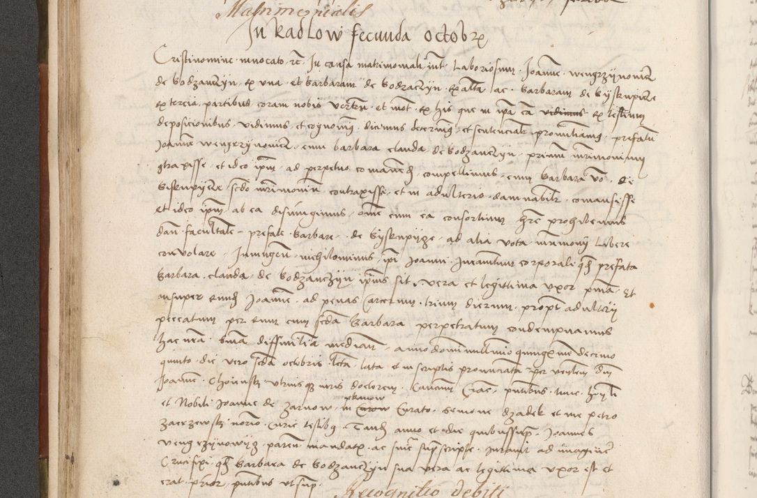 Zdjęcie nr 133 dla obiektu archiwalnego: Volumen II - um actorum episcopalium Joannis Konarski, episcopi Cracoviensis annorum sequentium: 1515, 1516, 1517, 1518, 1519, quorum indicem in dine huius voluminis videre est.