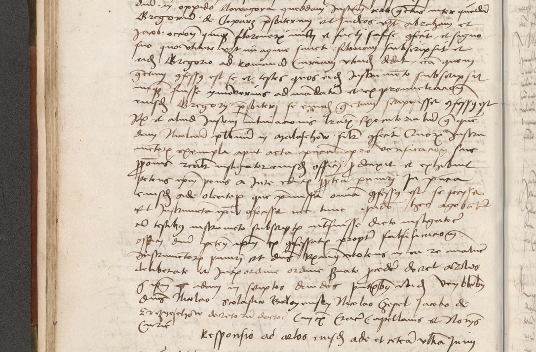 Zdjęcie nr 95 dla obiektu archiwalnego: Volumen II - um actorum episcopalium Joannis Konarski, episcopi Cracoviensis annorum sequentium: 1515, 1516, 1517, 1518, 1519, quorum indicem in dine huius voluminis videre est.