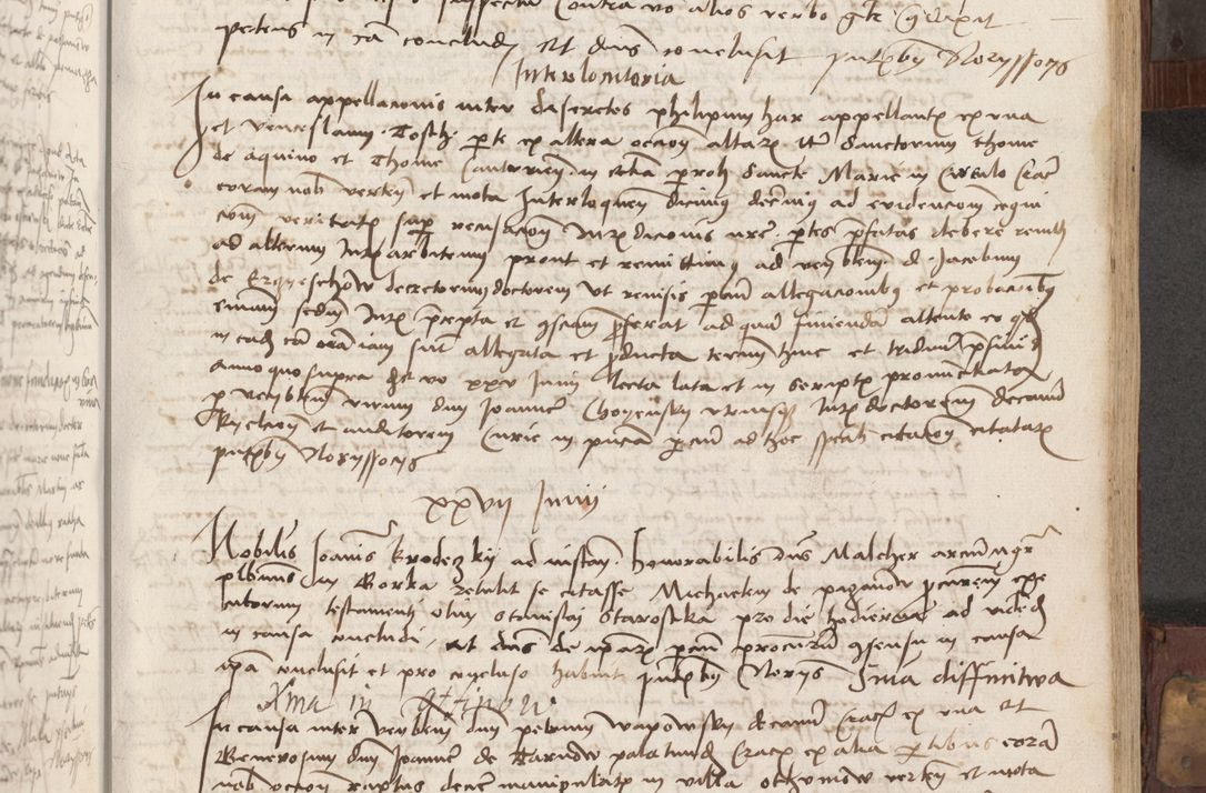 Zdjęcie nr 92 dla obiektu archiwalnego: Volumen II - um actorum episcopalium Joannis Konarski, episcopi Cracoviensis annorum sequentium: 1515, 1516, 1517, 1518, 1519, quorum indicem in dine huius voluminis videre est.