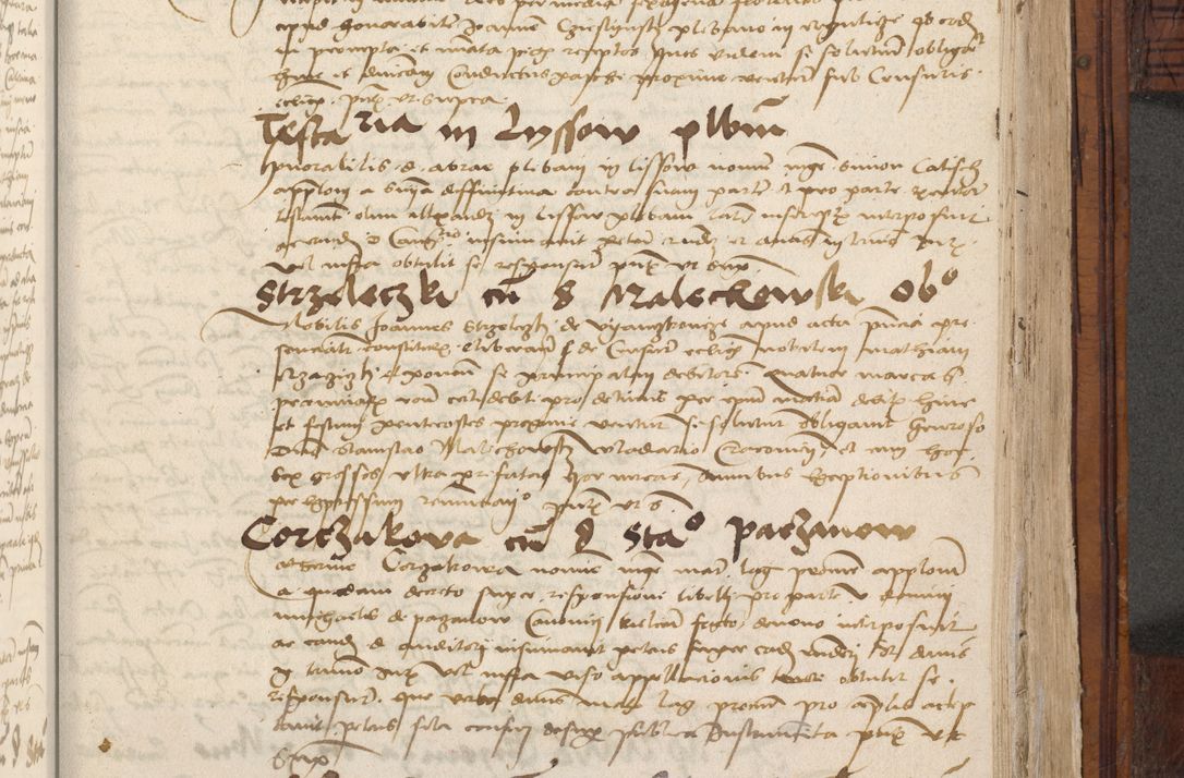 Zdjęcie nr 787 dla obiektu archiwalnego: Volumen III actorum episcopalium R.R.  Joannis Konarski episcopi Cracoviensis ex annis 18 I 1520-27 III 1524