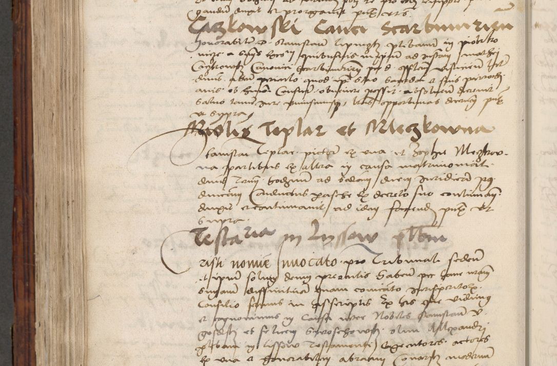 Zdjęcie nr 782 dla obiektu archiwalnego: Volumen III actorum episcopalium R.R.  Joannis Konarski episcopi Cracoviensis ex annis 18 I 1520-27 III 1524