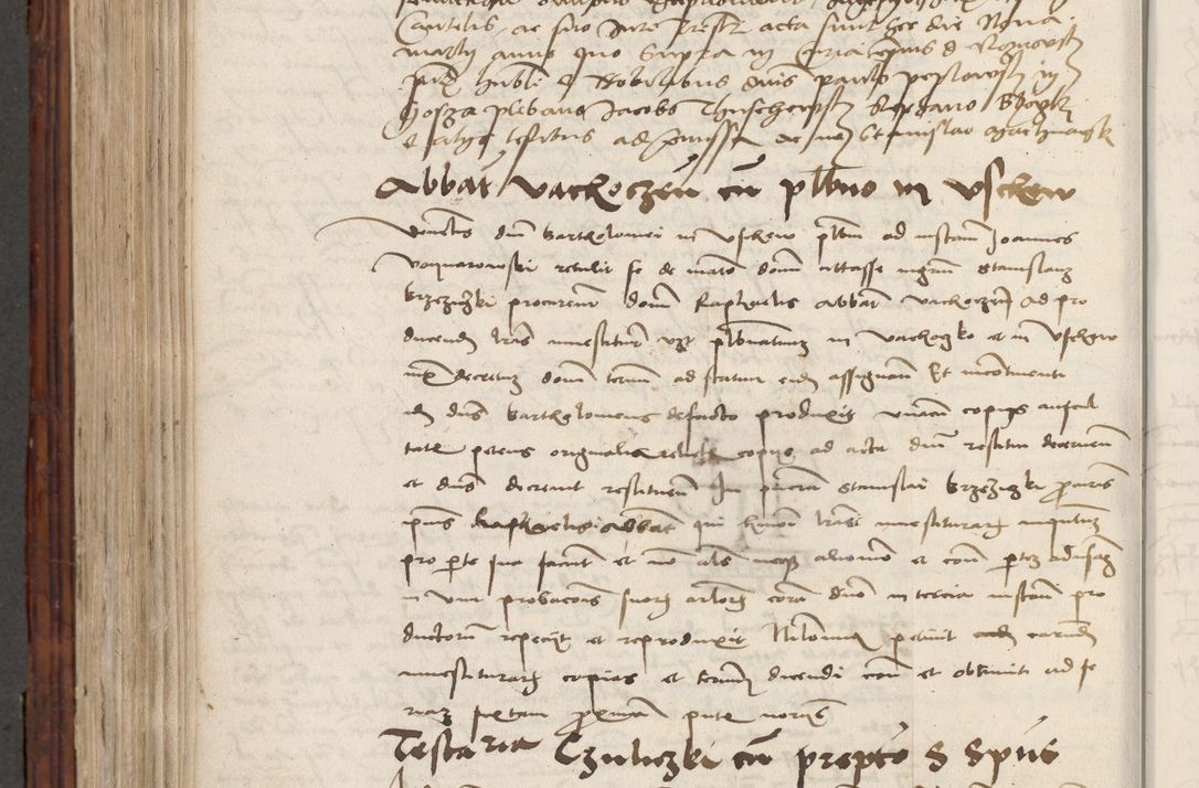 Zdjęcie nr 752 dla obiektu archiwalnego: Volumen III actorum episcopalium R.R.  Joannis Konarski episcopi Cracoviensis ex annis 18 I 1520-27 III 1524