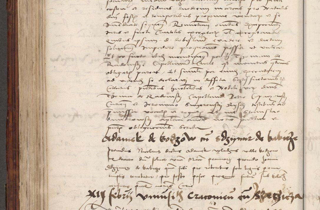 Zdjęcie nr 726 dla obiektu archiwalnego: Volumen III actorum episcopalium R.R.  Joannis Konarski episcopi Cracoviensis ex annis 18 I 1520-27 III 1524