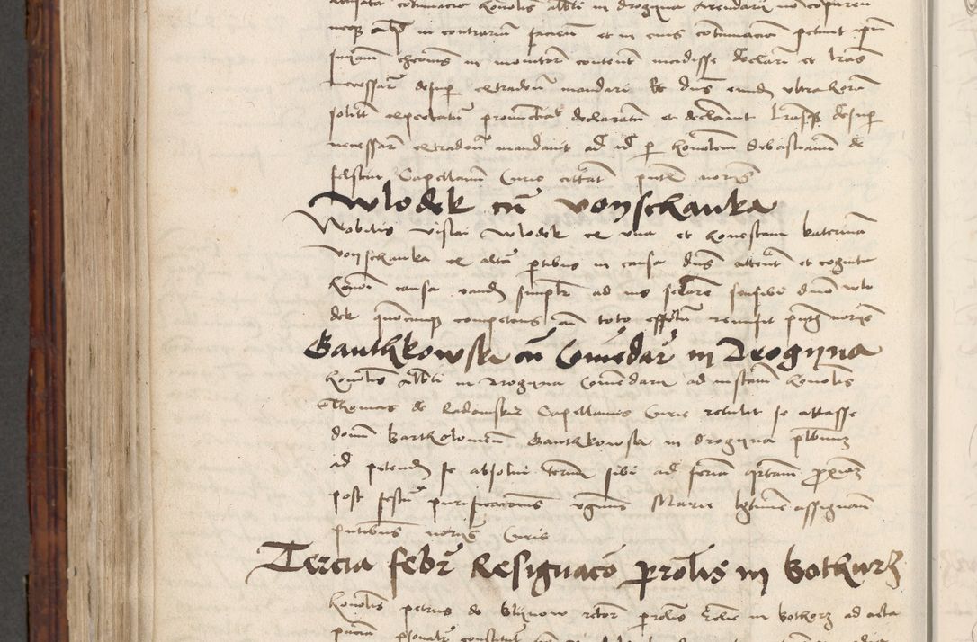 Zdjęcie nr 716 dla obiektu archiwalnego: Volumen III actorum episcopalium R.R.  Joannis Konarski episcopi Cracoviensis ex annis 18 I 1520-27 III 1524