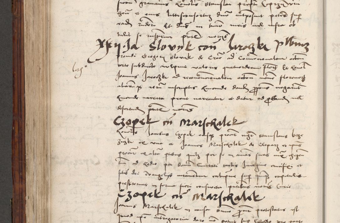 Zdjęcie nr 704 dla obiektu archiwalnego: Volumen III actorum episcopalium R.R.  Joannis Konarski episcopi Cracoviensis ex annis 18 I 1520-27 III 1524